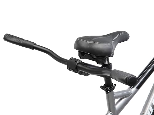 Schwinn Twinn Classic Tandem Adult Beach Cruiser Bike Grey