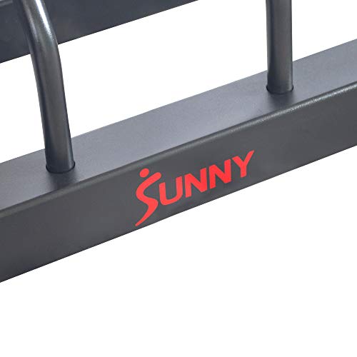 Sunny Health & Fitness All-In-One Weights Storage Rack Stand Black
