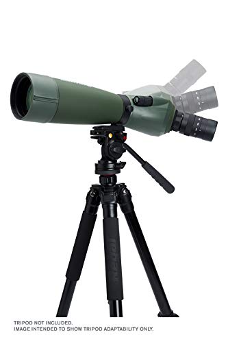 Celestron Regal M2 LER 27x80 ED Spotting Scope Olive Green