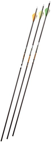Gold Tip Velocity Hunter 300 Arrows with 2-Inch Vanes 72 Count Black