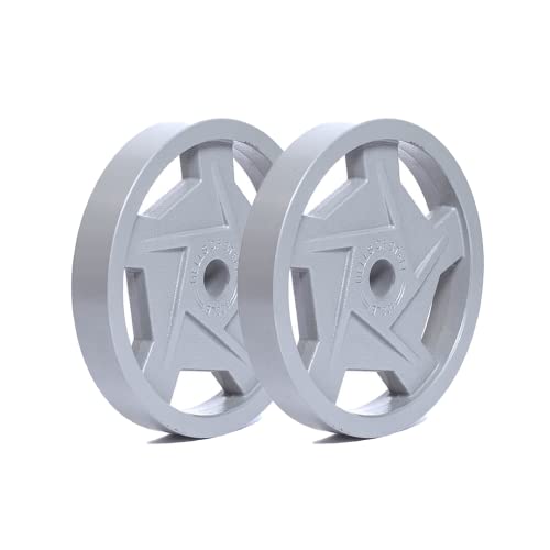 Bells of Steel Cast Iron Weight Plates - Mighty Grip Olympic Weight Plates Gray