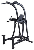 SportsArt Fitness VKR Chin Dip Station Free Weight Performance