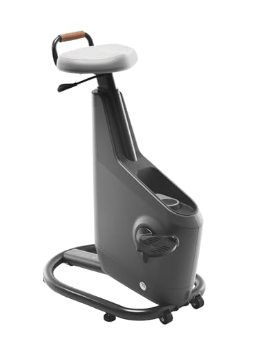LifeSpan Fitness Ampera Office Bike Space Gray
