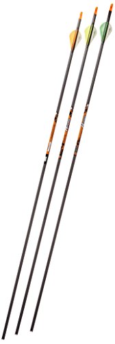 Gold Tip Expedition Hunter 5575/400 Carbon Arrows with 2-Inch HP Vanes Black (72 Count)