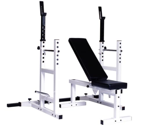 York Barbell YORK Pro Series 209 with 205 FI Bench Plus 204 Cage Attachment White