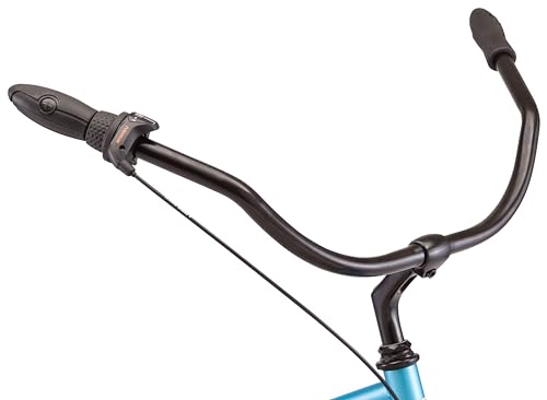 Schwinn Mikko Adult Beach Cruiser Bike Blue