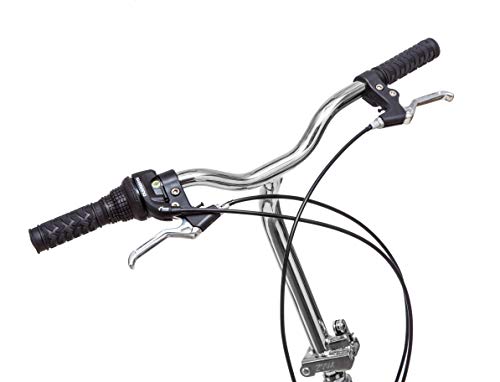 Schwinn Loop Adult Folding Bike 20-inch 7-Speed Drivetrain Titanium