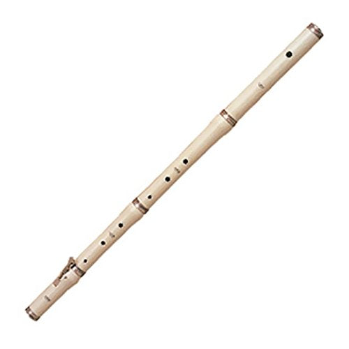 RHYTHM BAND School Children Stanesby Jr Flute with Hard Case Multi
