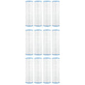 Doheny's Pool Spa Replacement Filters for Pentair Clean & Clear 150 - 12-Pack