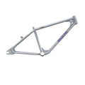 Race Inc RA26 BMX Bike Frame White