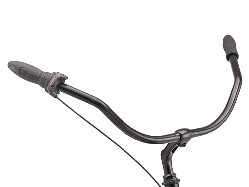 Schwinn Huron Adult Beach Cruiser Bike 26-Inch Black