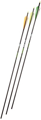 Gold Tip Velocity XT 400 Arrows with 4-Inch Vanes Black