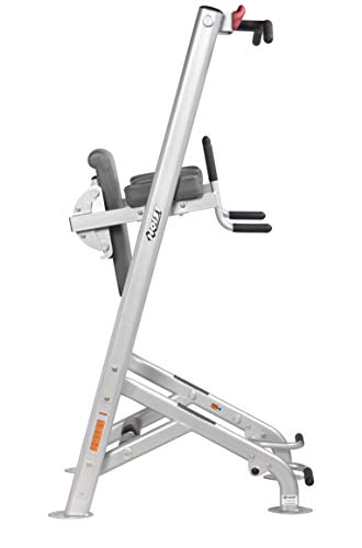 HOIST Fitness Dip Station & Pull Up Bar Platinum
