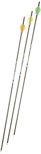Gold Tip Kinetic XT 500 Arrows with 2-Inch Vanes Black