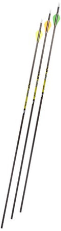 Gold Tip Pro Hunter 5575/400 Carbon Arrows with 2-Inch HP Vanes (72 Count) Black