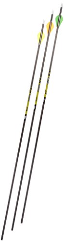 Gold Tip Pro Hunter 5575/400 Carbon Arrows with 2-Inch HP Vanes (72 Count) Black