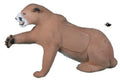 Rinehart Targets 431 Cougar Self Healing Predator Archery Hunting Target Multicolor