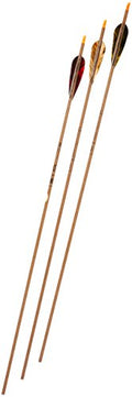 Gold Tip Traditional XT 5575/400 Arrows with 4-Inch Feathers 72 Count Beige