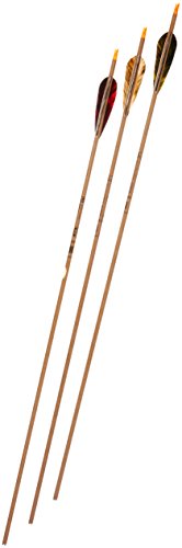 Gold Tip Traditional XT 5575/400 Arrows with 4-Inch Feathers 72 Count Beige