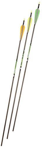 Gold Tip XT Hunter 300 Carbon Arrows with 4-Inch Vanes Black