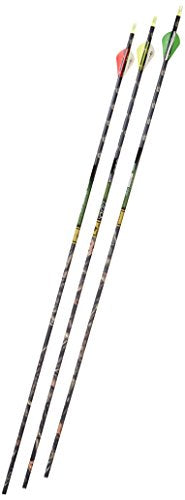 Gold Tip XT Hunter 300 Carbon Arrows with 2-Inch HP Vanes 72 Count Camouflage