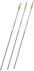 Gold Tip Expedition Hunter 300 Carbon Arrows with 2-Inch HP Vanes Black (72 Count)