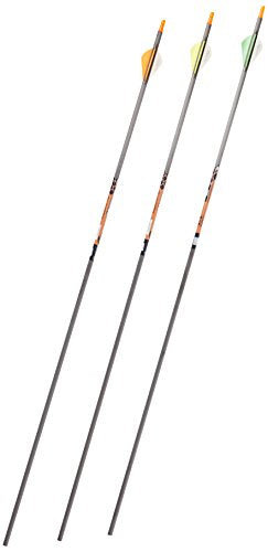 Gold Tip Expedition Hunter 300 Carbon Arrows with 2-Inch HP Vanes Black (72 Count)