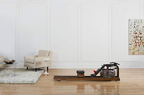 Life Fitness Row HX Trainer Natural Wood