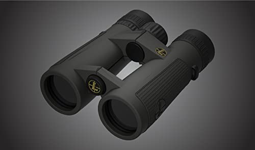 Leupold BX-5 Santiam HD Binoculars 10x42mm Shadow Gray