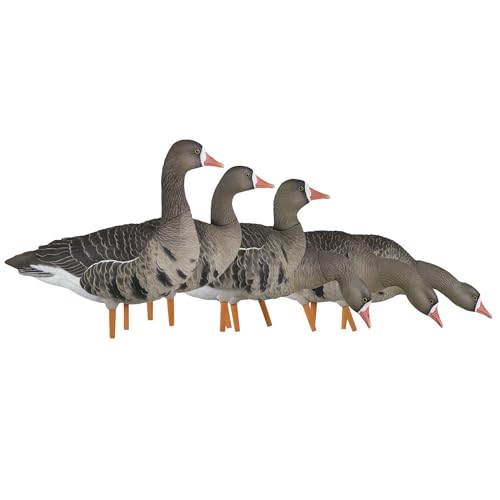 Avian-X AXP Specklebelly Decoy Fusion Pack 12 Pack