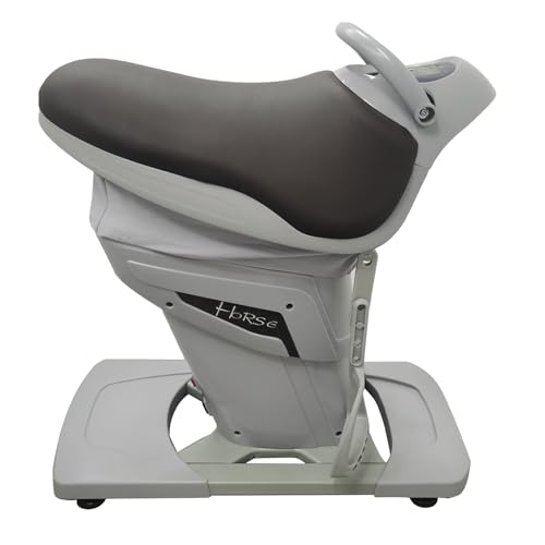 INTSUPERMAI Horse Riding Abdominal Exercise Machine 110V Grey