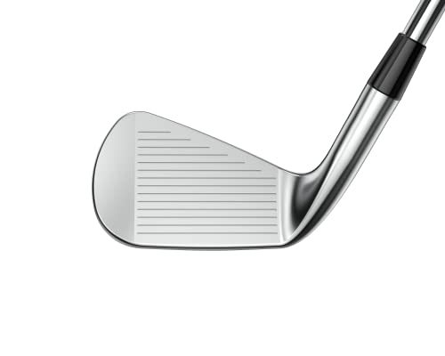 Cobra Golf King CB/MB Irons 4-PW Silver