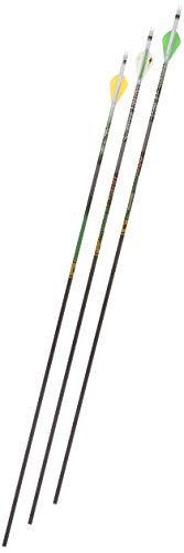 Gold Tip Team Primos 400 Arrows with 2-Inch HP Vanes 72 Count Camouflage