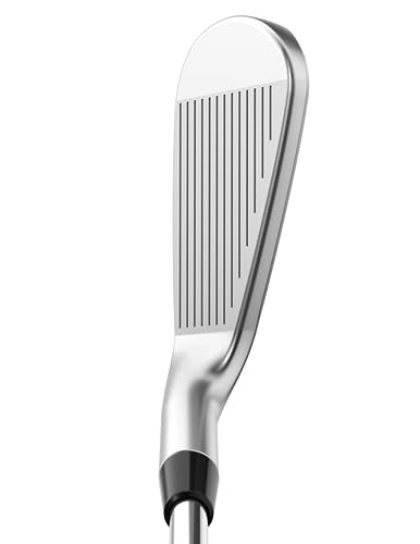 Callaway Golf APEX PRO Iron Set (Right Hand, 4 Iron - PW,AW, Steel, Stiff) Silver