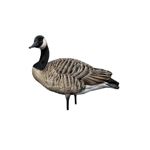 Avian-X AXP Honkers Fusion Pack Full Body Canada Goose Decoys Multicolor