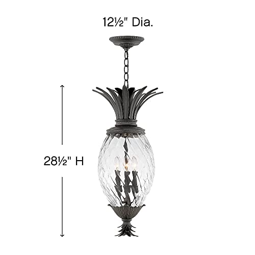 Bailey Street Home 4 Light Outdoor Hanging Lantern Bronze