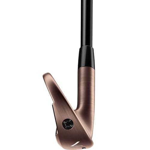 TaylorMade Men's P770 Aged Copper Iron Set RH 4-PW C-Taper Lite Black 110