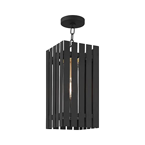 Livex 1 Light Satin Brass Outdoor Pendant Lantern Brass