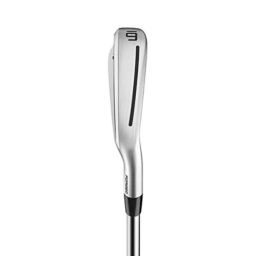 TaylorMade P770 Iron Set Titanium