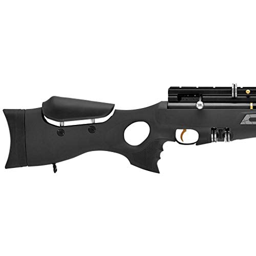 Wearable4U Hatsan BT65SB Elite Quiet Energy .177 Cal Air Rifle Bundle with 500 Pellets & 100 Targets