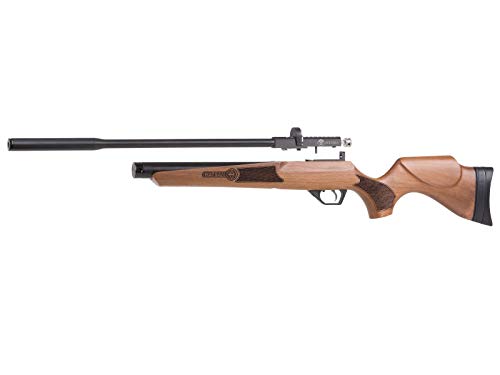Wearable4U Hatsan Hydra .25 Cal QuietEnergy PCP Air Rifle Ultimate Bundle with Arrow Barrel, Hard Case, Targets, and Pellets