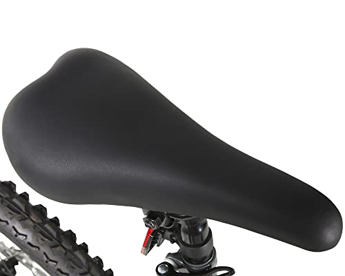 Dynacraft Silver Canyon 26" Mountain Bike Silver Canyon Black