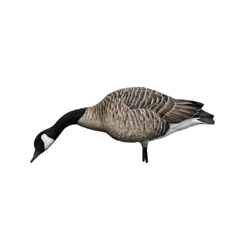 Avian-X AXP Honkers Fusion Pack Full Body Canada Goose Decoys Silver