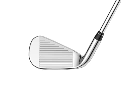 Callaway Golf Big Bertha REVA Women's Iron Set Eggplant
