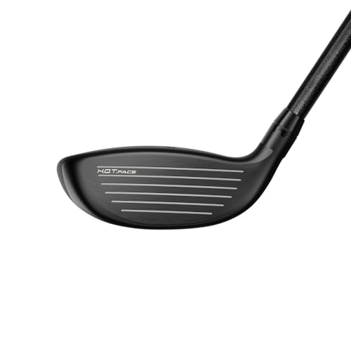 COBRA DarkSpeed LS Titanium Fairway Black