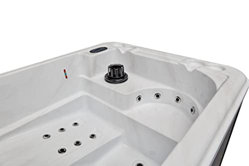 Generic Riley 2-Person 26-Jet Dual Lounger Hot Tub