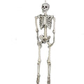 zhangzhejun Horror Skeleton Bones Halloween Props