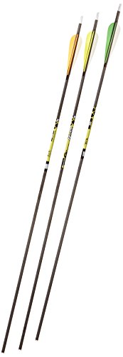 Gold Tip Pro Hunter 300 Carbon Arrows with 4-Inch Vanes, 72 Count Black