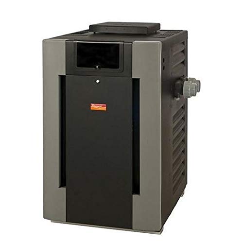 Raypak ASME Cast Iron Digital Natural Gas Pool Heater 333,000 BTU 017373