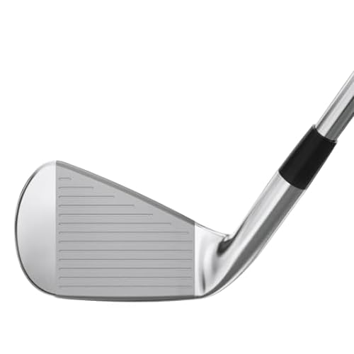 Mizuno Pro 245 Golf Iron Set 3-PW, Right Hand Steel Regular